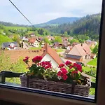 Schwarzwaldglueck Apartamento *