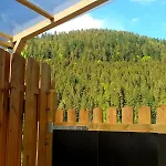 Schwarzwaldglueck Apartamento *